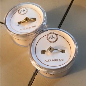 Alex and ani adjustable “I” ring